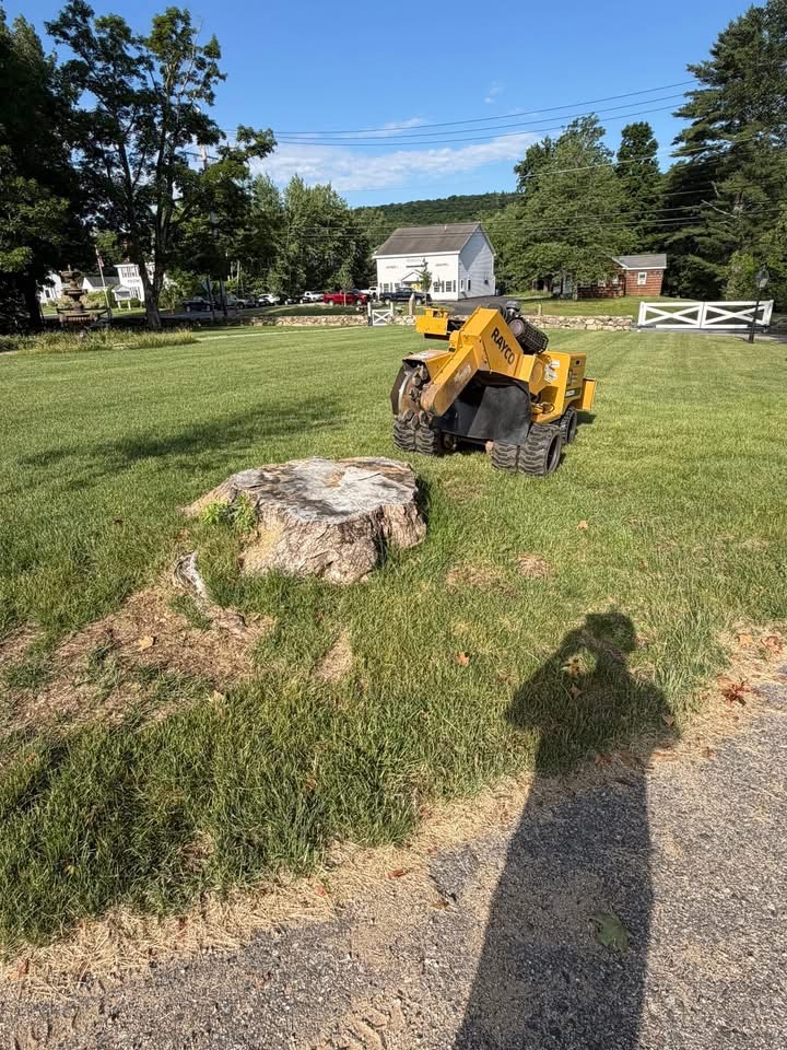 Large stump in a front lawn with the stump grinder staged beside it