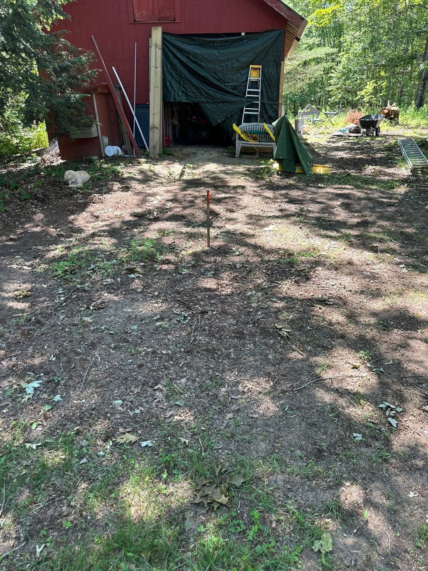 Rough dirt yard in front of a red barn before lawn prep