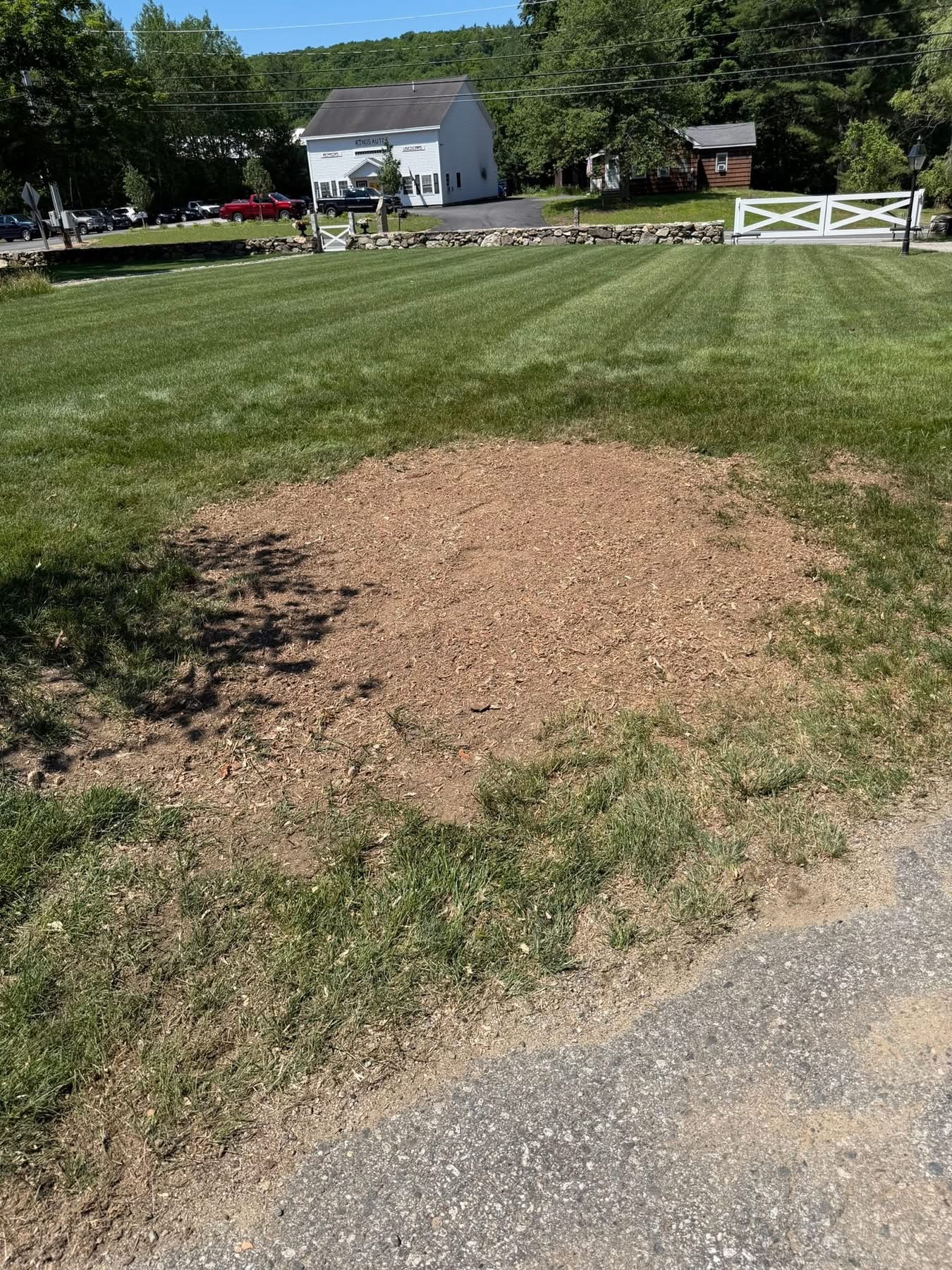 Ground-out stump area leveled with grindings in the front lawn