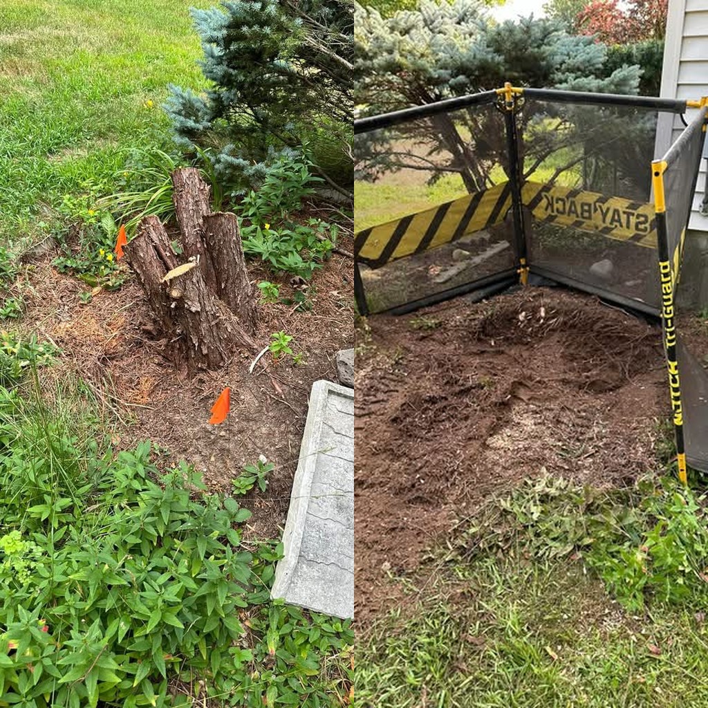 Stump Grinding before and after